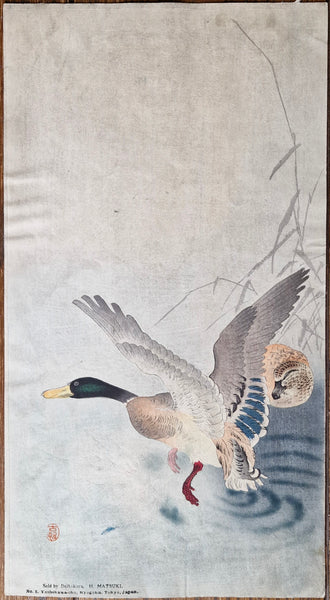 Original Woodblock Print Ohara Koson "Flying Away" - Japan - 1900-1910