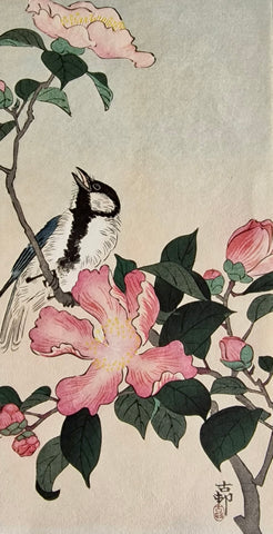 Original Woodblock Print - Ohara Koson - Great Tit on Branch with Pink Flowers - Japan - 1900 - 1930
