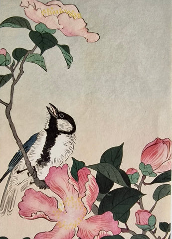 Original Woodblock Print - Ohara Koson - Great Tit on Branch with Pink Flowers - Japan - 1900 - 1930