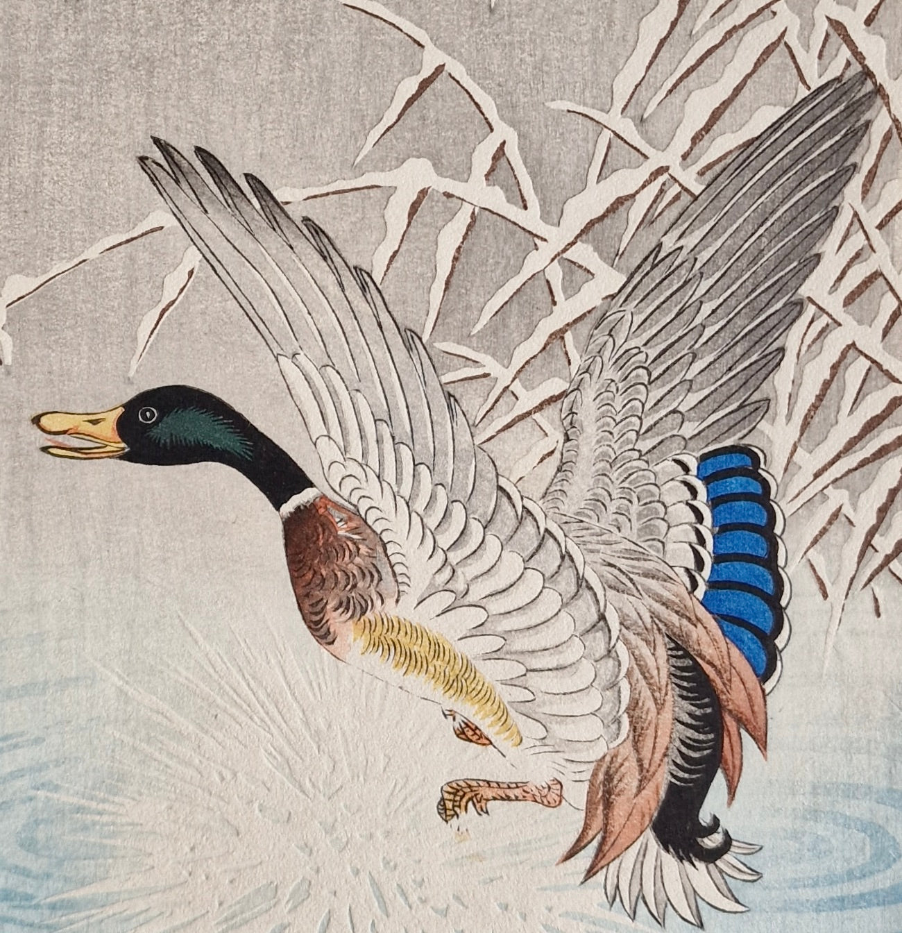 Original Woodblock Print - Ohara Koson - Wild Goose Taking Flight From A Pond Near Snow-Covered Grasses - ca.1930's