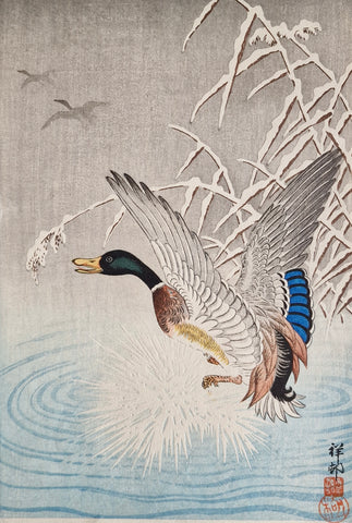 Original Woodblock Print - Ohara Koson - Wild Goose Taking Flight From A Pond Near Snow-Covered Grasses - ca.1930's