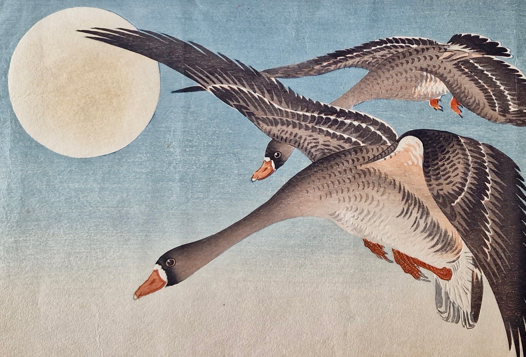 Original Woodblock Print - Ohara Koson - Flying Geese and Full Moon - Japan - 1920