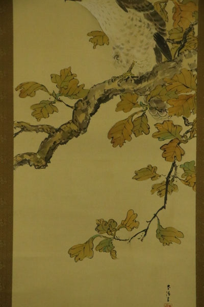 Hanging Scroll  "Hawk on tree" - Japan - XIX-XX c.