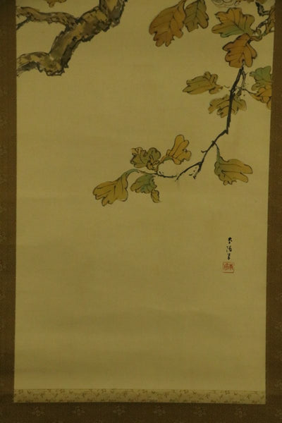 Hanging Scroll  "Hawk on tree" - Japan - XIX-XX c.