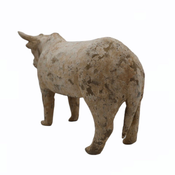 Tang Dynasty Terracotta Bull - China - 618-907 A.D.